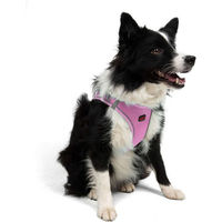 Produktbild von Jumeon Hundegeschirr Air Mesh aus Polyester in Rosa für alle Altersstufen