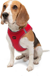 Jumeon Hundegeschirr Air Mesh aus Polyester in Rot Größe S – Bild 1 von 13