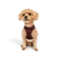 Produktbild von Jumeon Hundegeschirr Mini aus Polyester in Rot Größe XS