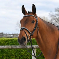 Produktbild von Jump'In Clincher Origin Trense mit Nasenriemen aus Leder für Vollblut in Schwarz