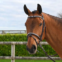 Produktbild von Jump'In Clincher Origin Trense mit Nasenriemen aus Leder in Braun