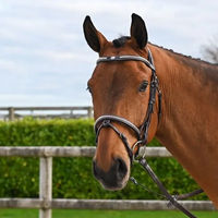 Produktbild von Jump'In Clincher Origin Trense mit Nasenriemen aus Leder in Braun