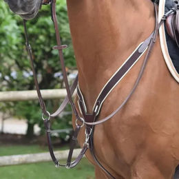 Jump'In Elastisches Jagdhalsband mit Martingal aus Leder für Pferde – Bild 1 von 1