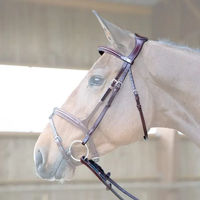Produktbild von Jump'In Evolution Origin Sattelkopf mit Lederzügeln für Warmblut in Schwarz oder Braun