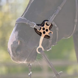 Jump'In Hackamore Äste aus Leder in Braun mit Silber – Bild 1 von 1