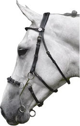 Jump'In Hackamore Trense mit Nasenriemen aus Leder für Vollblut Pferde – Bild 1 von 1