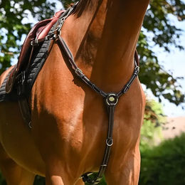 Jump'In Jagdhalsband für Pferde aus Leder in Schwarz – Bild 1 von 1