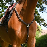 Produktbild von Jump'In Jagdhalsband für Pferde aus Leder in Schwarz