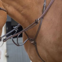 Produktbild von Jump'In Martingal für Pferde mit Ringen aus Leder in Braun