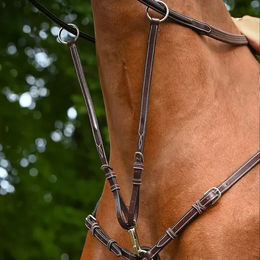 Jump'In Martingale aus Leder für Vollblut in Braun – Bild 1 von 1