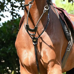 Jump'In Martingale für Pferde elastisch mit Ringen aus Leder in Schwarz – Bild 1 von 1