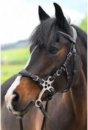 Produktbild von Jump'In One Premium Hackamore Reittrense für Pferde aus Leder in Schwarz