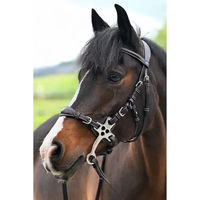 Produktbild von Jump'In One Premium Hackamore Reittrense für Pferde aus Leder in Schwarz für Vollblut