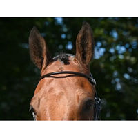 Produktbild von Jump'In Reithalfter Wednesday anatomisch geformt quergefädelt aus Leder für Vollblut
