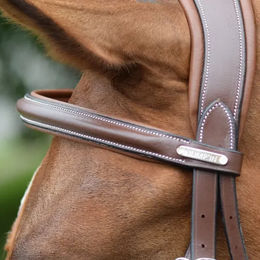 Jump'In Stirnband für Pferde aus Leder in Schwarz – Bild 1 von 1