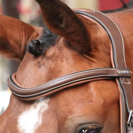 Jump'In Stirnband für Pferde aus Leder in Schwarz – Bild 1 von 1