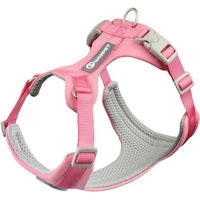 Produktbild von Jumpeak Anti-Zug Hundegeschirr mit 1,5 m Führleine für kleine und mittelgroße Hunde verstellbar in Pink/Rosa