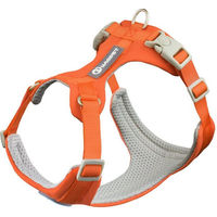 Produktbild von Jumpeak Anti-Zug Hundegeschirr mit 1,5 m Leine für kleine und mittelgroße Hunde, Orange, verstellbar