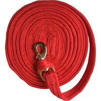 Produktbild von JumpTec Longierleine aus Gurtband gepolstert Rot 8 m - 8 m