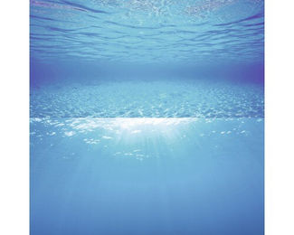 Juwel Aquariendekoration Rückwand Poster Wasserblau 150 x 60 cm – Bild 1 von 6