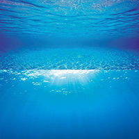 Produktbild von Juwel Aquarium-Poster Rückwand Wasserblau 100 x 50 cm - 2 l