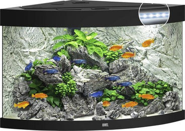 Juwel Aquarium Trigon 190 LED Aquarium Schwarz – Bild 1 von 4