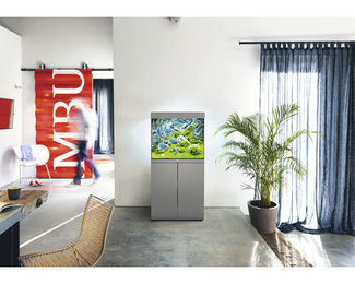 Juwel Lido 120 Aquarium in Schwarz mit LED-Beleuchtung, Pumpe, Filter und Heizer aus Glas für Fische – Bild 1 von 4