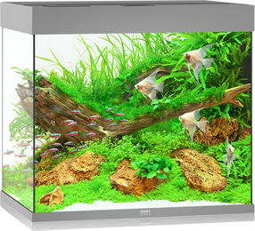 Juwel Lido 200 LED Aquarium grau - 200 l – Bild 1 von 2