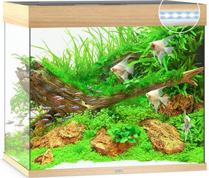 Juwel Lido 200 LED Aquarium in hellem Holz - 200 l – Bild 1 von 3