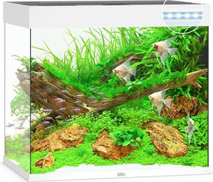 Juwel Lido 200 LED Aquarium weiß - 200 l – Bild 1 von 3