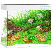 Produktbild von Juwel Lido 200 LED Aquarium weiß - 200 l