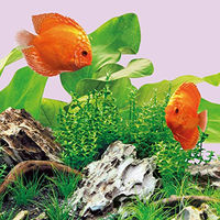 Produktbild von Juwel MultiLux LED Colour Aquarium Beleuchtung 590 mm 14 W Bunt - 590 mm