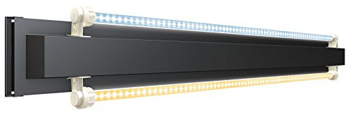 Juwel MultiLux LED Einsatzleuchte Aquariumbeleuchtung 80 cm Schwarz - 80 cm – Bild 1 von 8