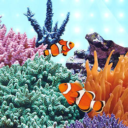 Juwel MultiLux LED Marine Aquariumbeleuchtung LED-Leiste 742 mm Weiß – Bild 1 von 3
