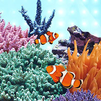 Produktbild von Juwel MultiLux LED Marine Aquariumbeleuchtung LED-Leiste 742 mm Weiß