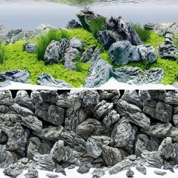 Juwel Poster4 Aquariendekoration Rückwandfolie Bunt 150 cm x 60 cm – Bild 1 von 3