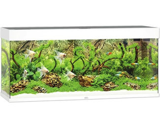 Juwel Rio 240 Aquarium mit LED-Beleuchtung, Pumpe, Filter und Heizer in Weiß - 240 l – Bild 1 von 8
