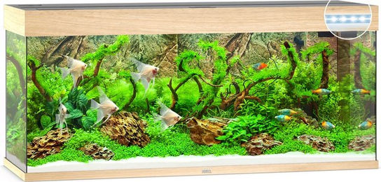 Juwel Rio 240 LED Aquarium mit hellem Holz – Bild 1 von 4