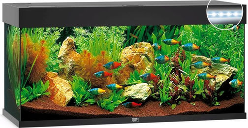 Juwel Rio 240 LED Aquarium Set schwarz – Bild 1 von 6