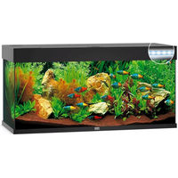 Produktbild von Juwel Rio 240 LED Aquarium Set schwarz