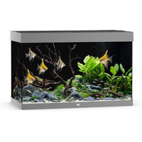 Produktbild von Juwel Rio 290 LED Aquarium Set Grau mit Beleuchtung, Heizer und Filter