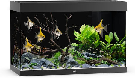 Juwel Rio 290 LED Aquarium Set Schwarz mit Filter und Heizer ohne Unterschrank - 290 l – Bild 1 von 6
