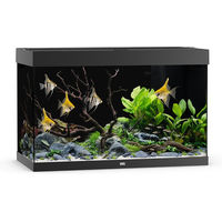 Produktbild von Juwel Rio 290 LED Aquarium Set Schwarz mit Filter und Heizer ohne Unterschrank - 290 l