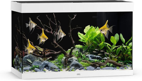 Juwel Rio 290 LED Aquarium Set Weiß mit Filter Heizer und Beleuchtung - 290 l – Bild 1 von 6