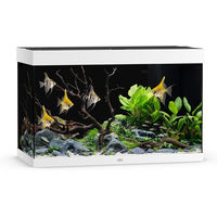 Produktbild von Juwel Rio 290 LED Aquarium Set Weiß mit Filter Heizer und Beleuchtung - 290 l