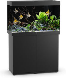 Juwel Rio 290 SBX Aquarium-Kombination mit LED-Beleuchtung und Unterschrank in Schwarz - 290 l – Bild 1 von 5