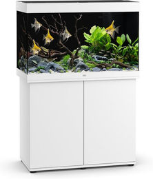 Juwel Rio 290 SBX Aquarium-Kombination mit LED-Beleuchtung und Unterschrank in Weiß - 290 l – Bild 1 von 5