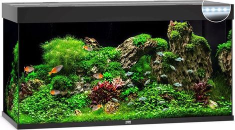 Juwel Rio 350 LED Aquarium Set grau – Bild 1 von 7