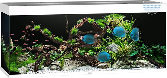 Juwel Rio 450 LED Aquarium weiß – Bild 1 von 3