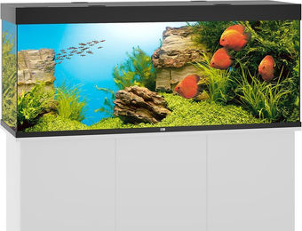 Juwel Rio 450 LED Komplett Aquarium in Schwarz ohne Unterschrank - 450 l – Bild 1 von 5